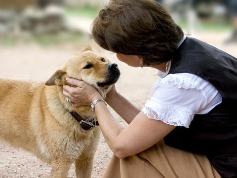 How to Talk to Your Dog