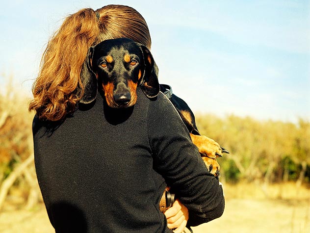 Tips For Giving Up Foster Dogs