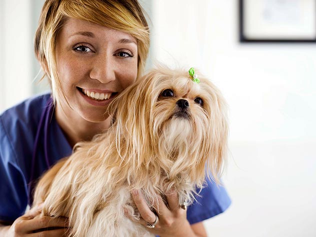 careers in animal care