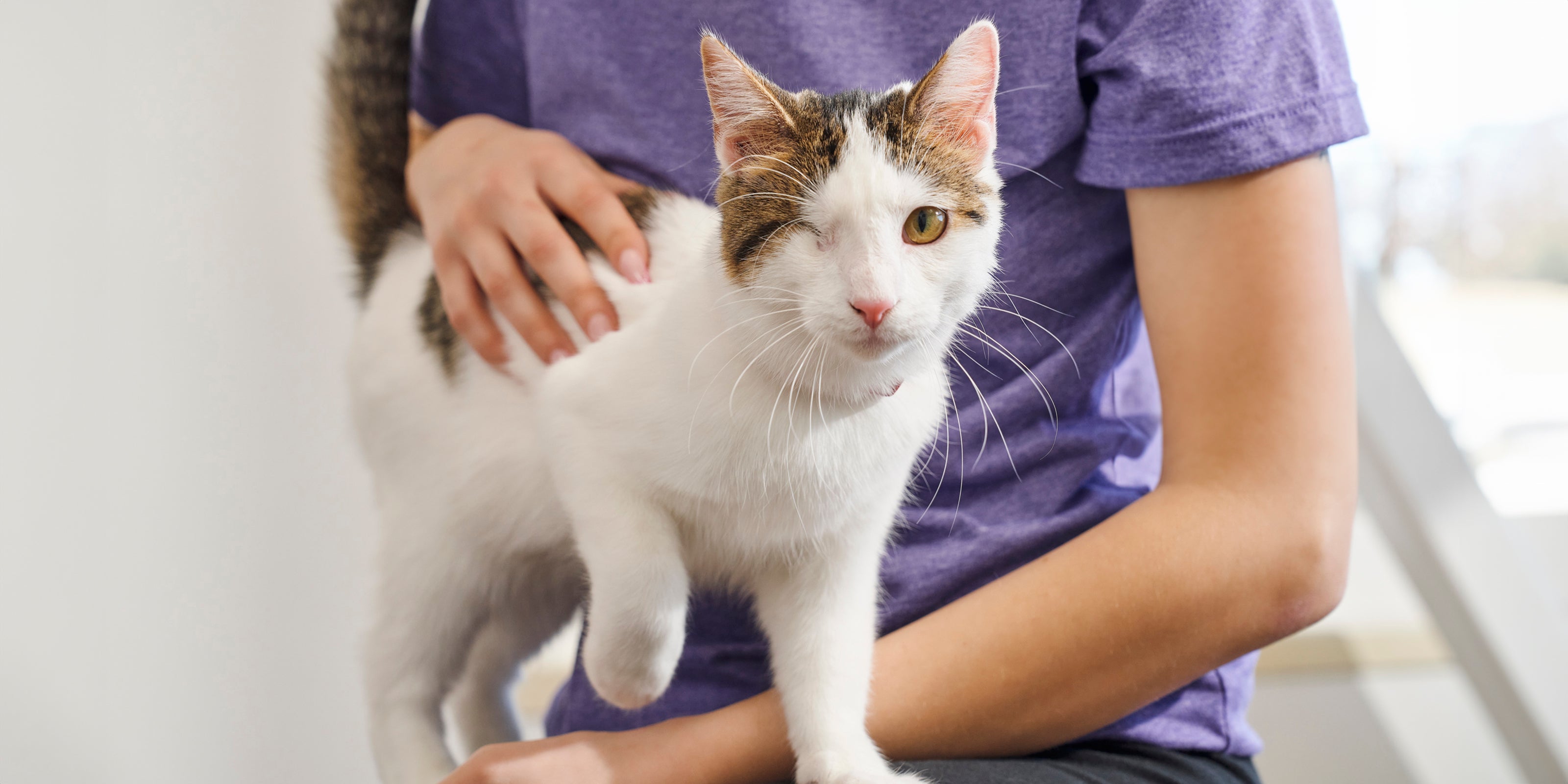 woman holding a cat that is missing an eye