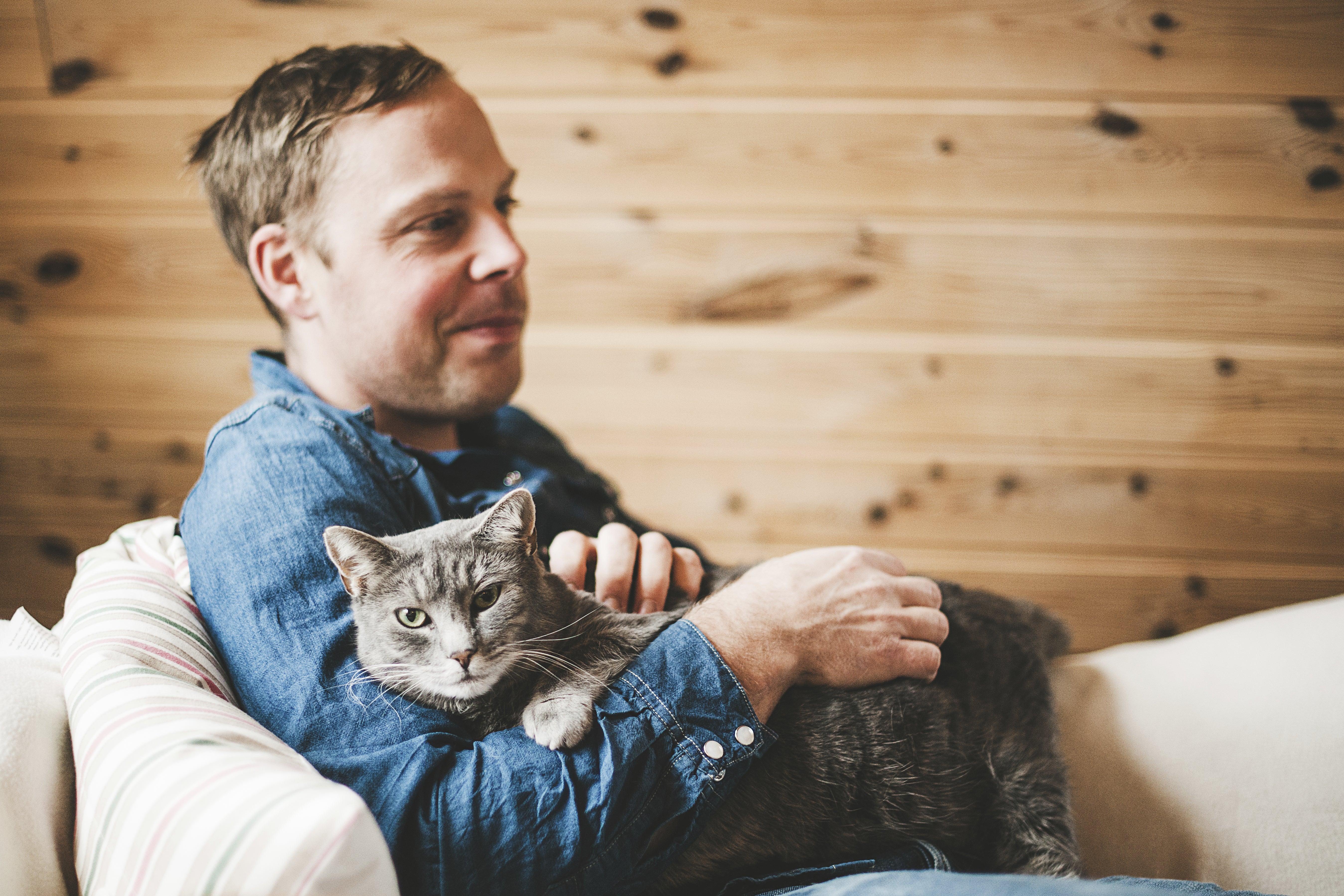 man petting gray cat sitting on a white couch in front of a wood paneled wall