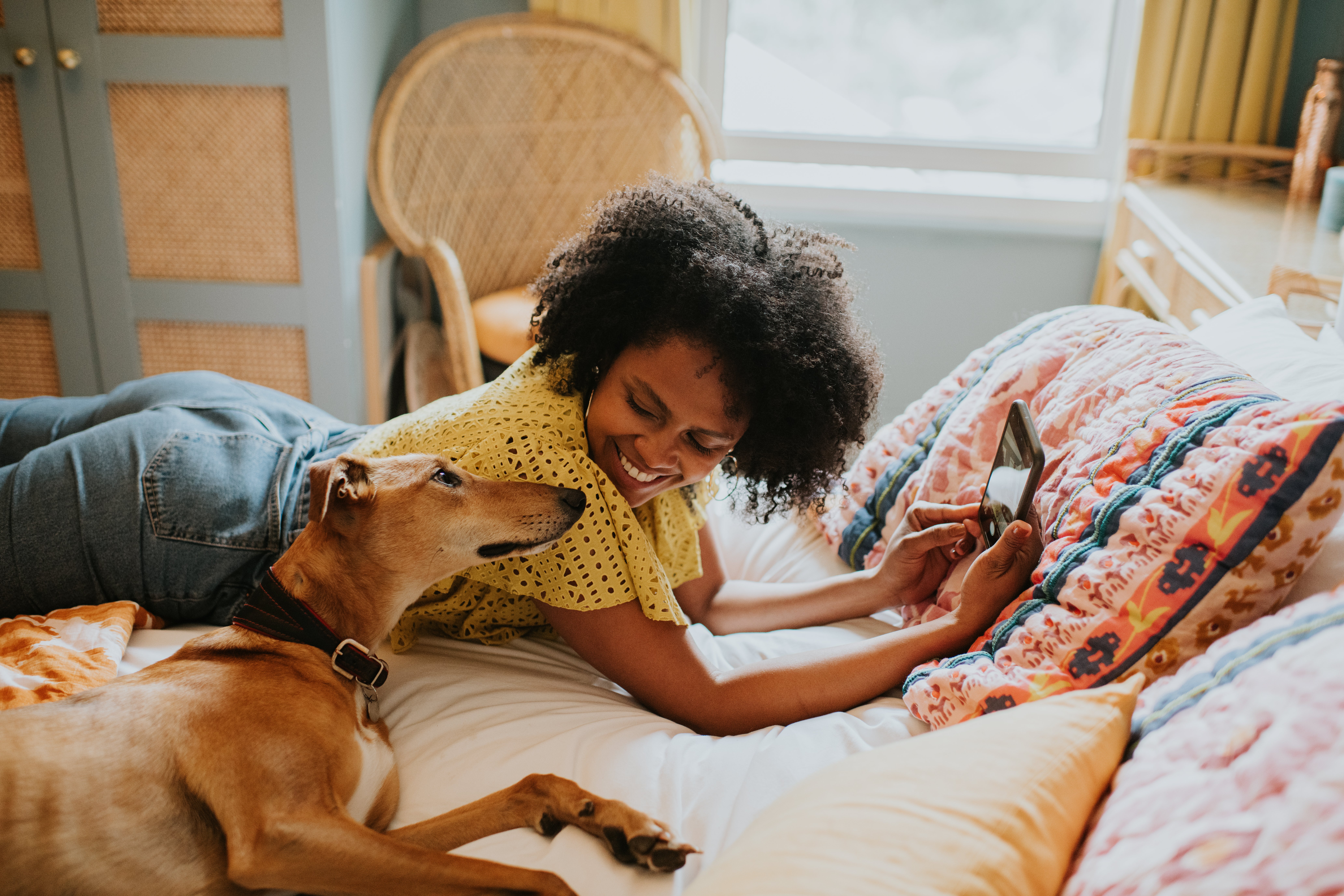 Person lying on a bed using a smartphone while a dog rests nearby and looks toward the phone.