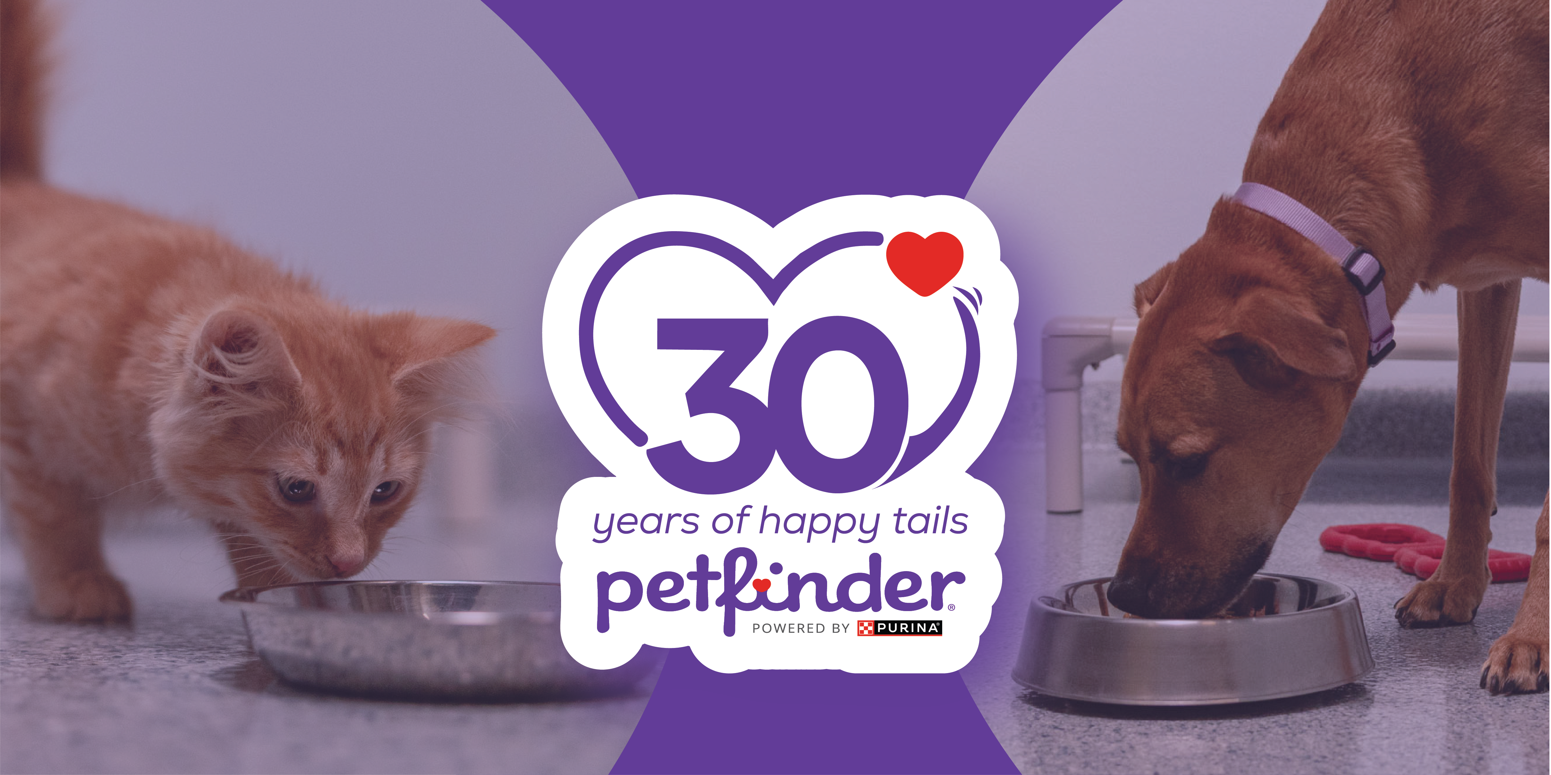 Petfinder celebrates 30 years of happy tails, featuring a kitten and a dog eating from bowls beside the Petfinder anniversary logo.