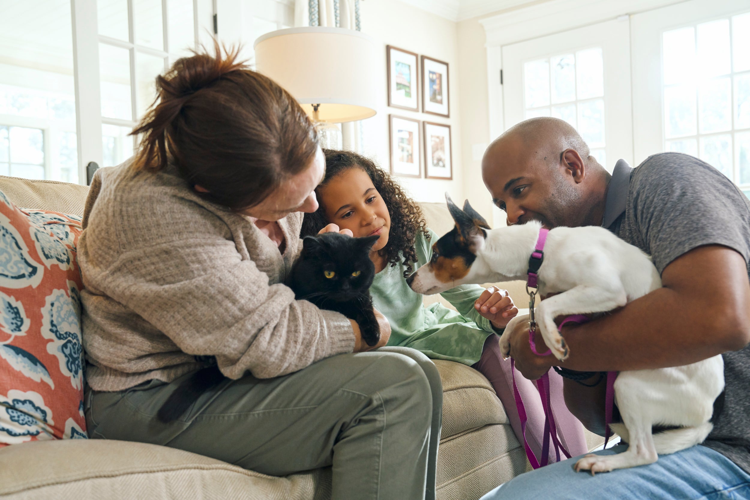 New dog being introduced the family and cat