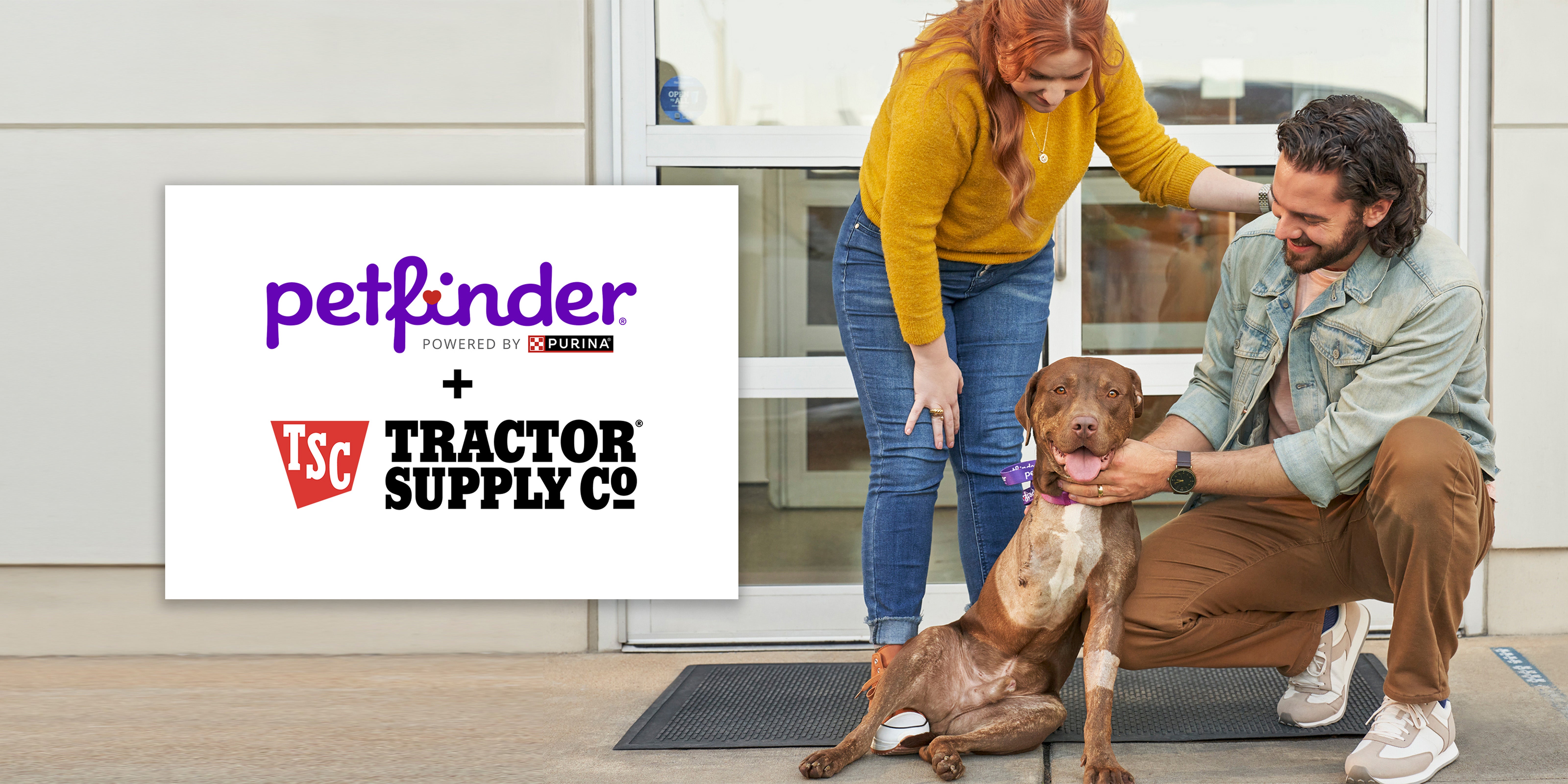man and woman petting dog on porch