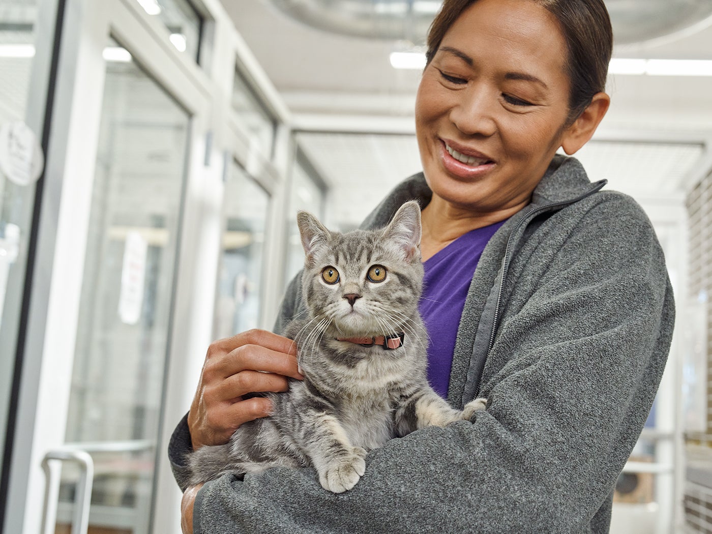 Person holding a gray tabby cat inside an animal shelter.