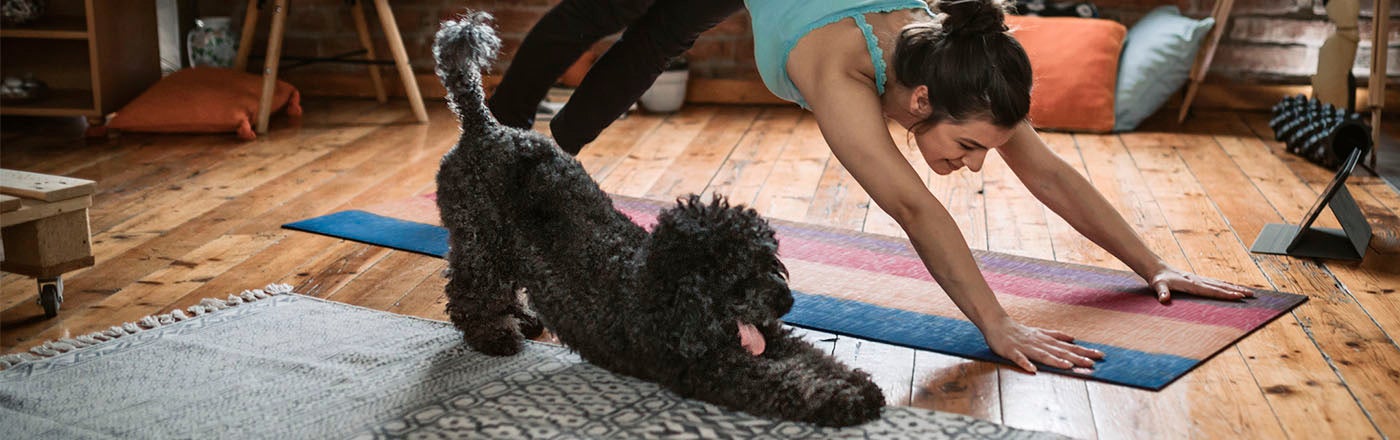 woman and dog doing yoga