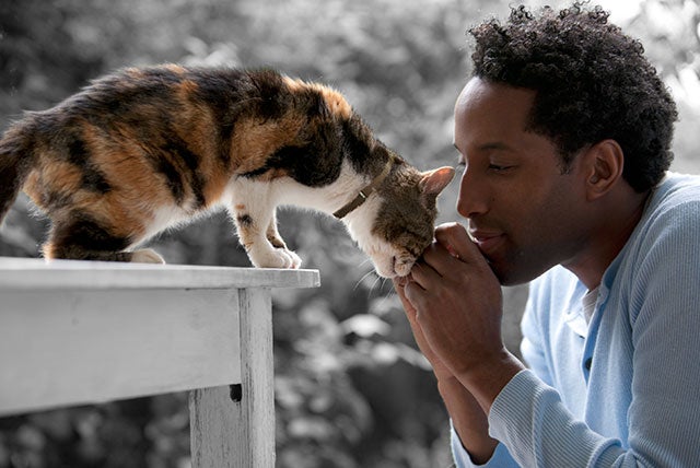 The Comprehensive Guide to Adopting a Pet | Petfinder