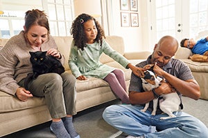 cat and dog with people