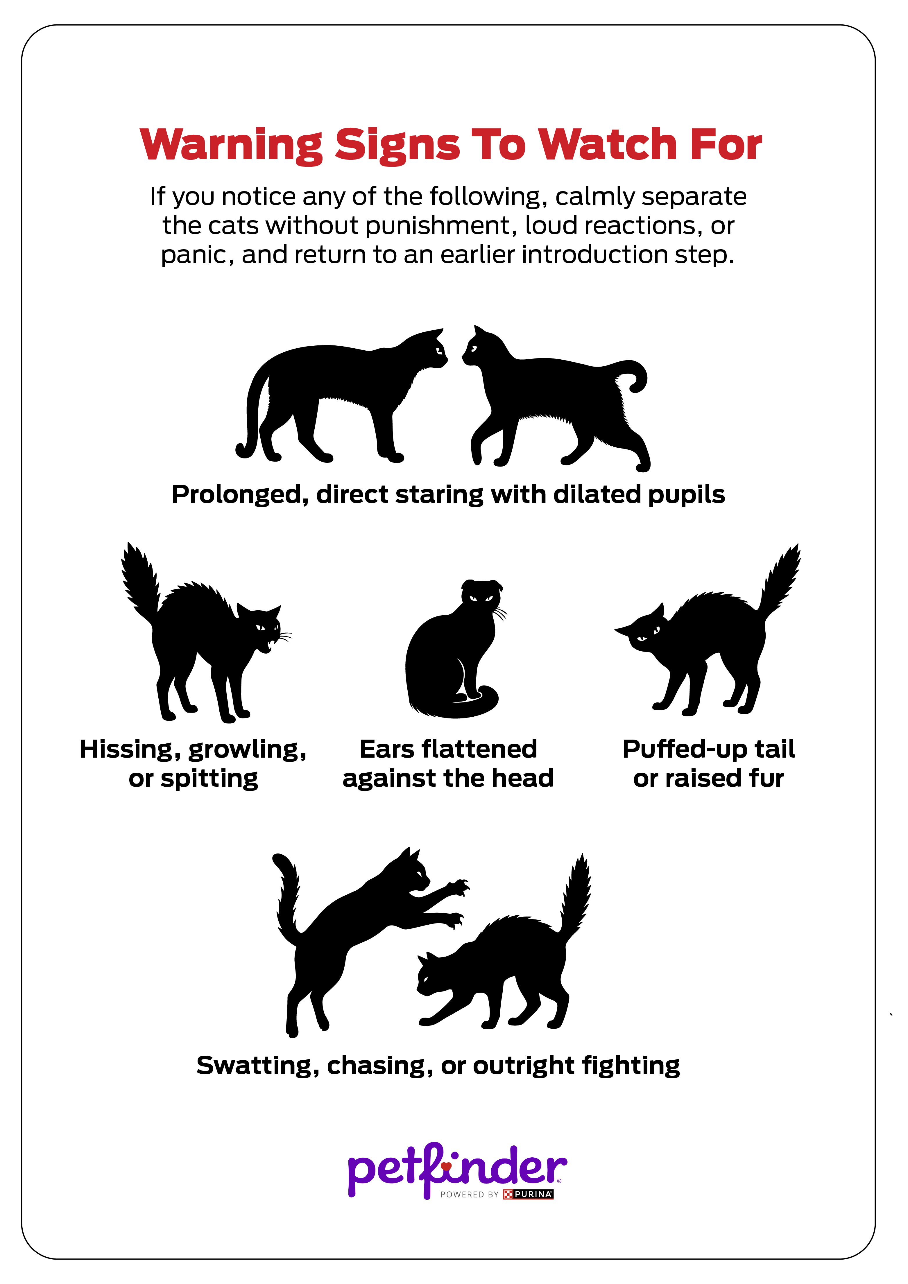 Warning Signs to Watch For