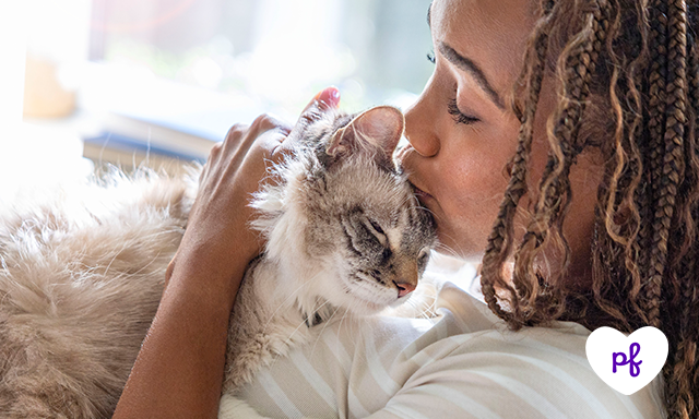 woman kissing cat on the head