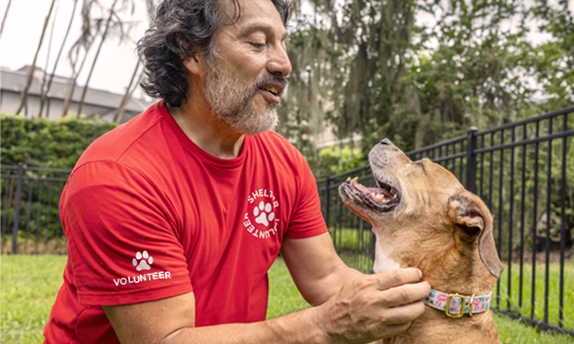 volunteer in red shirt petting dog